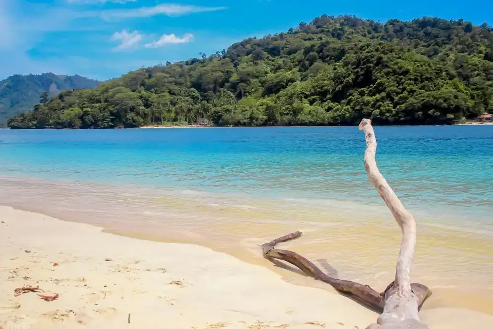 Menikmati Pulau Calaguas dengan Pantai Putih Bersih